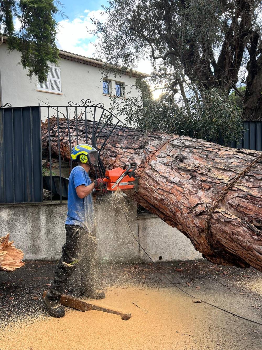 SARL LABICHE à Mougins (1)
