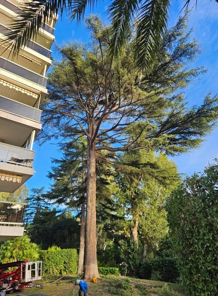 SARL LABICHE à Mougins (2)