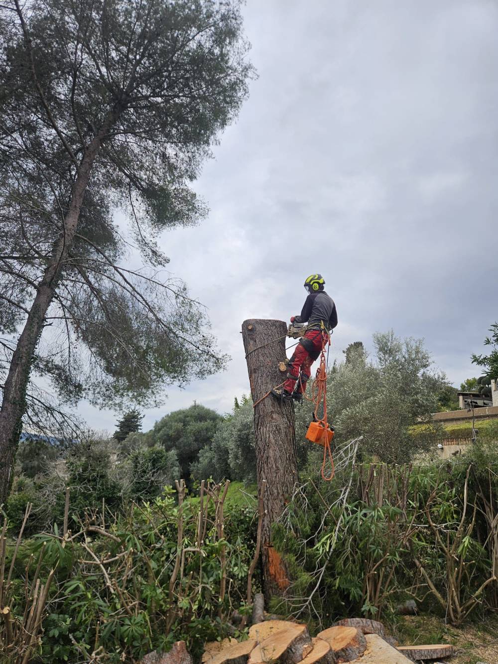 SARL LABICHE à Mougins (6)