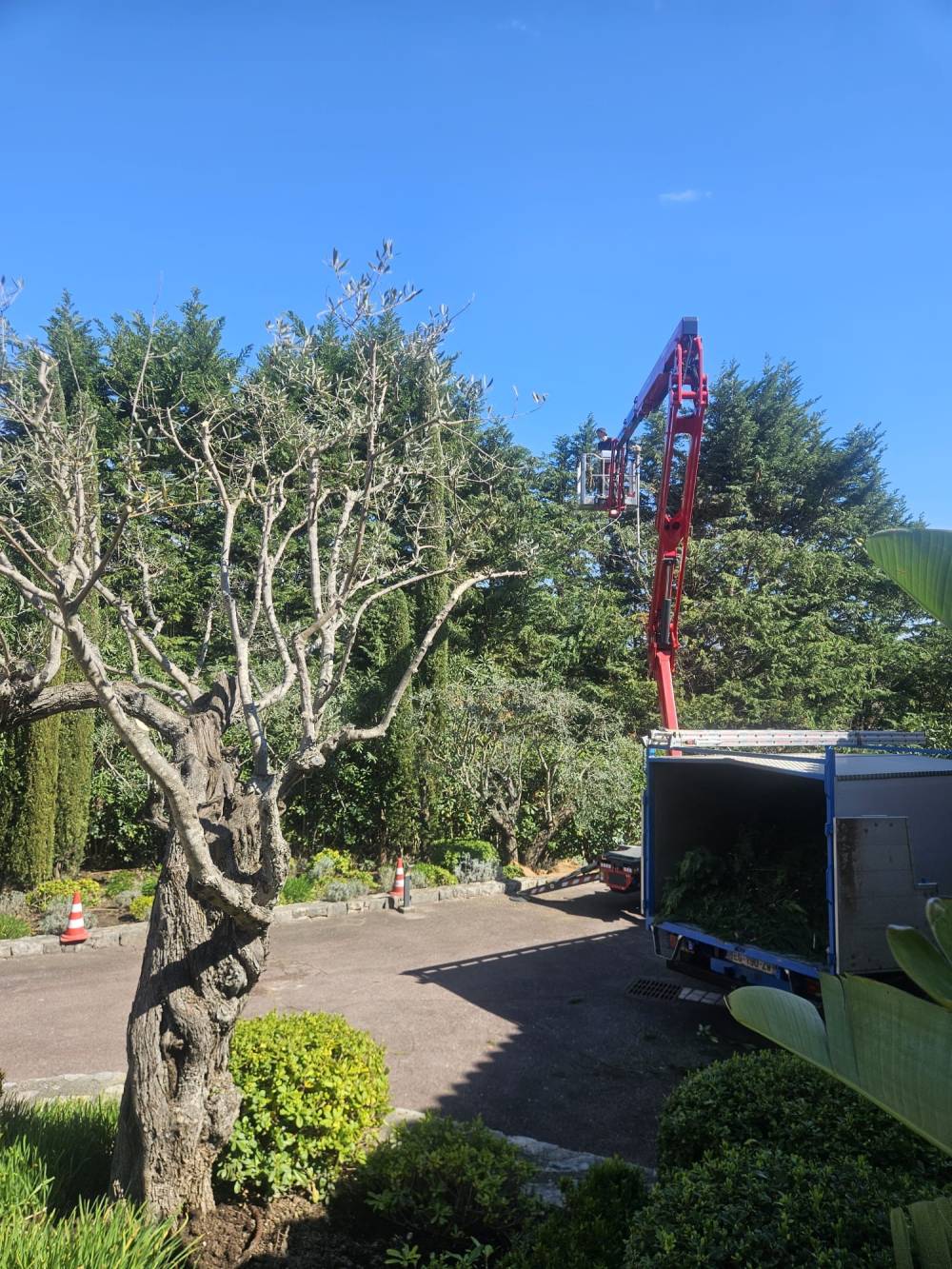 SARL LABICHE à Mougins (9)